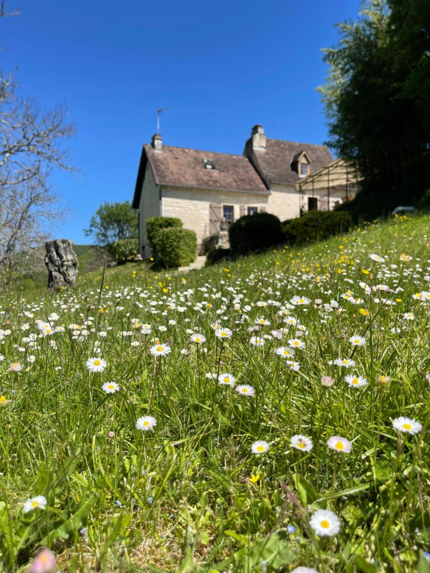 Carlux Domaine Du Bonheur En Pierre Avec Piscine, Proche Sarlat 빌라 외부 사진